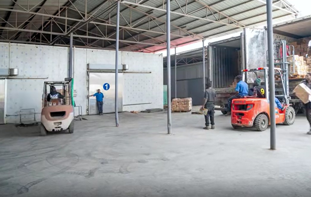 Armazém frigorífico